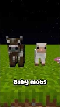 The BEST Minecraft Update