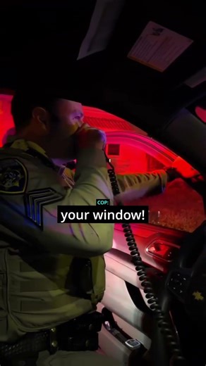 Cops Use Spike Strips To Stop Stolen Car! 🚨⛓️