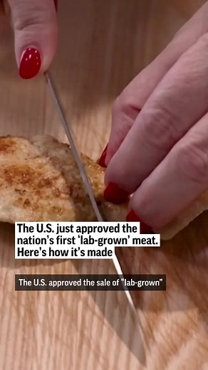Would you eat chicken meat made in a lab? Now, you can. The U.S. approved its sale on Wednesday, allowing two California companies to offer “lab-grown” meat to restaurants and eventually, supermarkets. Here’s how it’s made.