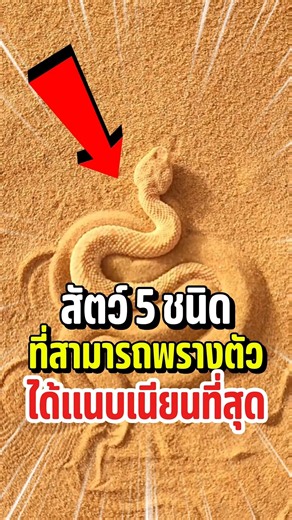 สัตว์ 5 ชนิดที่พรางตัวได้เเนบเนียนที่สุด !? 😧🔥🦎 #shorts #viral #สัตว์โลกน่ารัก