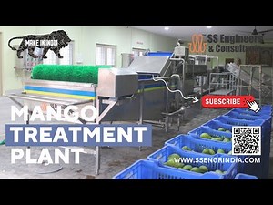 Mango Treatment Plant | Mango processing 🥭| #ssec #ssengrindia