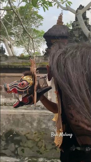 Kepala barong hampir lepas saat lari , barong bangkung Karangenjung