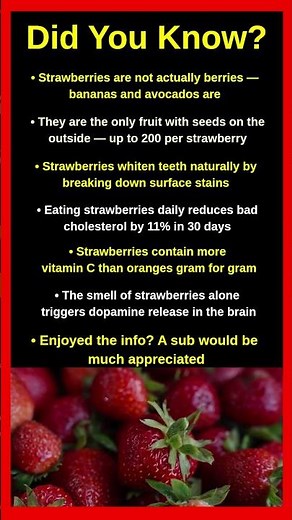 Shocking Facts About Strawberries You Never Knew 🍓😱