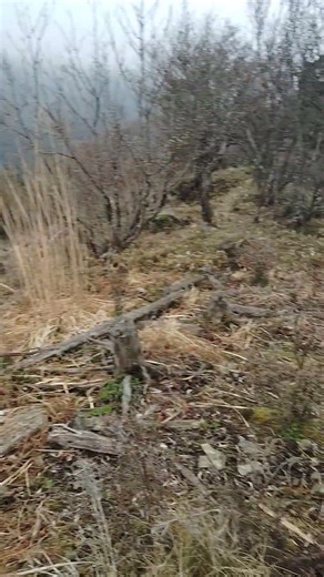 【山頂シリーズ】慈母峰（那岐山）