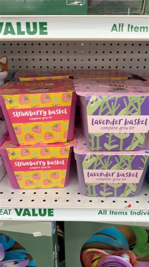 Dollar Tree Finds #shopwithme #discountstore #dollartree #dollartreefinds #shoppingvlog