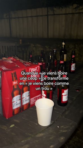 L'humour sur les expressions françaises