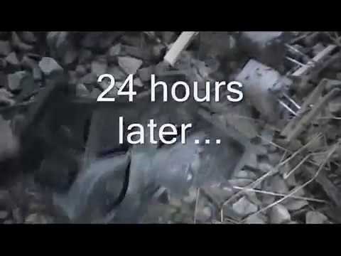 Making and Using Fruit Tree Limb Weights