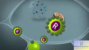 Le stress expliqué simplement :) | Biologie Université