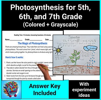 Photosynthesis Lesson, Worksheets, and Experiments for 5th, 6th, and 7th Science