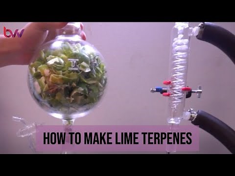 Steam Distillation - Lime essential oil