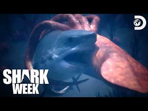 Jaws vs. Sea Monsters 🦈🦑 Shark Week | Discovery