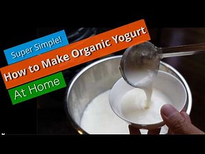 How to Make Organic Yogurt (有機酸奶) at Home - Ninja Foods Yogurt Recipe