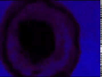 This is an actual wormhole.The plasma orbs pancake as their fields combine and the plane stretches because of gravitational lensing. You can see the perfect internal reflection of the tail of the plane because the plasma acts as a phase conjugate mirror.This is not annihilation. We can manipulate time and space.