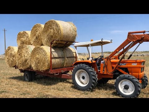 Classic Fiat 450 Carrying Hay Bales | Italian Farm Power 🇮🇹