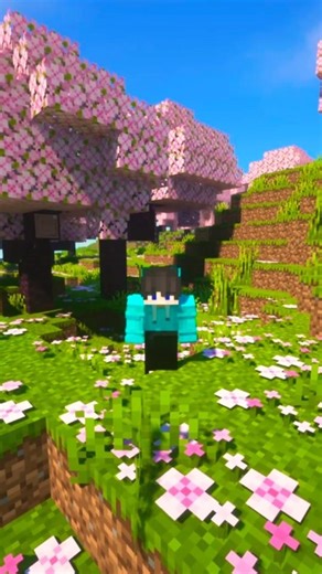 " I Finally Tried Minecraft Shaders ! " #minecraft #youtube #preform #shaders