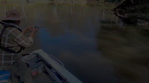 Catch and release and catch again Murray Cod Fishing...🤣🤣 (File footage). | Robbie Alexander Photography and Fishing