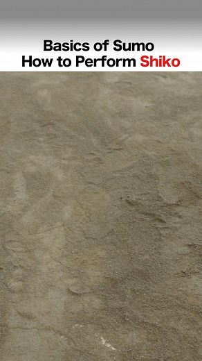 日本相撲協会 on Instagram: "＜四股＞ Basics of Sumo: How to Perform Shiko The most important training for sumo wrestlers that builds the foundation of their strong bodies is Shiko foot stomps #相撲 #sumo #sumowrestlers #japanculture #spt #sumoprimetime"