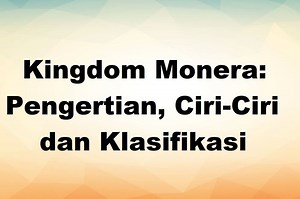 Kingdom Monera: Pengertian, Ciri-Ciri dan Klasifikasi  - Sonora.id