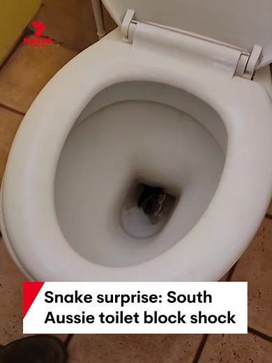 Only in Australia: A friendly reminder to always look before you squat with rangers at South Australia’s Ikara-Flinders Ranges National Park bravely relocating a carpet python found in a park toilet. #snake #toilet #Aussie #Adelaide
