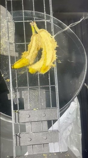 Banana VS Sandblaster!