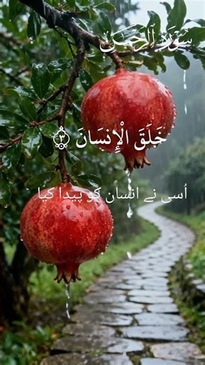 surah Al Rahman recitation