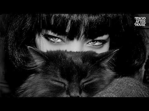 Deep House Mix 2026 | 🇯🇵 Japanese Vocal | Chill ,Nu Disco — Tokyo Night #47