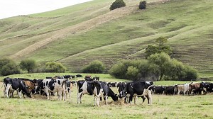 More than 50 million hectares of Aussie farmland now foreign owned