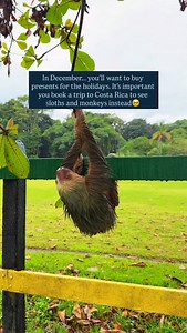 This > presents We’ve been together for 17 years and we never exchange material gifts at the holidays, but always plan adventures or trips! I highly recommend booking a trip to Costa Rica to see so many sloths and monkeys!🥹🥹 Do you exchange gifts? | Whatrvdoing