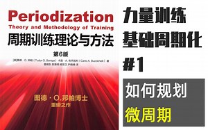 力量训练的基础周期化①如何规划微周期的训练？