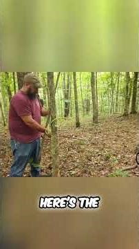 Safe Tree Removal: Pull Like a Pro! #shorts