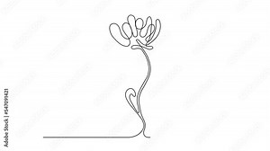 Continuous Thin Line Flower Drawing Animation, Minimalist Botanical Draw, One Line Art Flowering Blossom, Single Floral Outline Animated Drawing