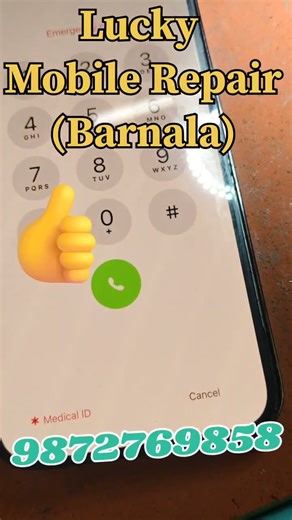 iPhone 13 Pro Max Green Lcd Repaired Successfully l #greenscreen #iphonerepair