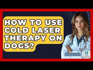 How To Use Cold Laser Therapy On Dogs? - Orthopedic Support Network