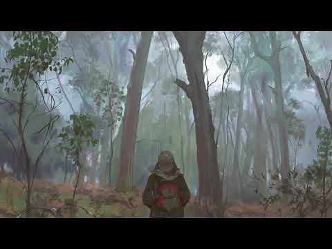 the silent forest 🌲 [lofi / ambient piano / chill mix]