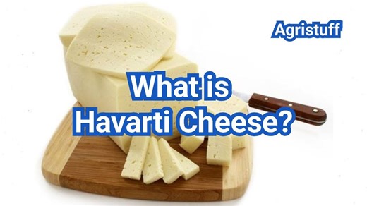 What Is Havarti Cheese? Flavor, Texture And Best Uses | 2026
