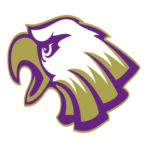 Basketball Recap: Jordan Jones' Big Game Can't Quite Lead Eldorado over Webber   How To Watch