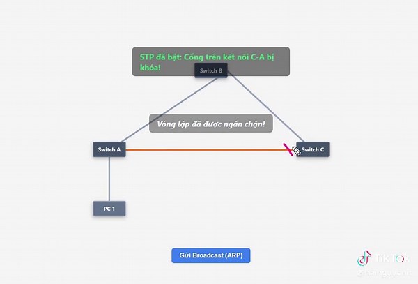 spanning tree in animation