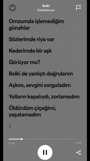 Belki Dedublüman Lyrics