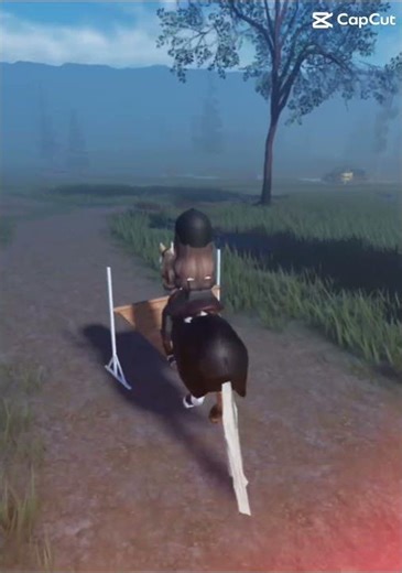 Trying XC with summer fir the first time ( at new Barn ) #strideway #horse