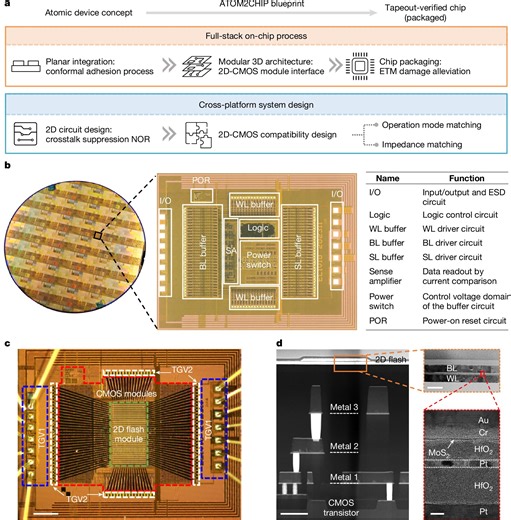 Scientists create world's first chip that combines 2D materials with conventional silicon circuitry