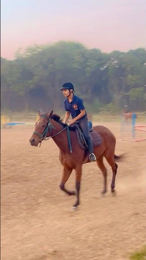 Seat Forward Equestrian Skills - Horse Riding #equestrian #horsejumping #showjumping