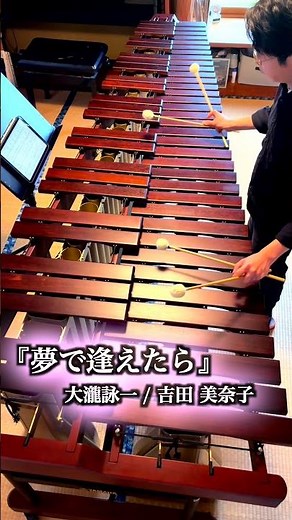 マリンバ1台で1人再現『夢で逢えたら』大瀧詠一 / 吉田美奈子