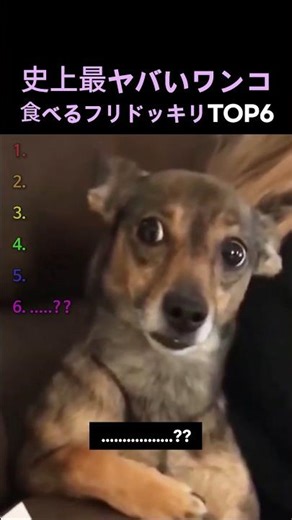 Top 6 Craziest Dog-Eating Pranks of All Time