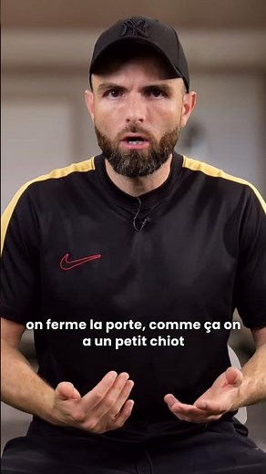 3 tips for a perfect first day with your puppy! 😇 Ft. @amistory