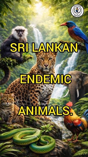 ශ්‍රී ලංකාවට ආවේණික සතුන්😱Animals endemic to Sri Lanka #viral #trending #top10