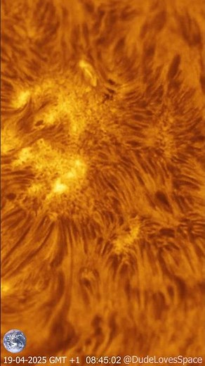 Sun Close Up Featuring a Solar Plage Captured From My Backyard #astronomy #astrophotography #space