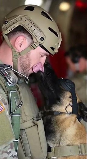 Military K9 And Handler Jump From C130 — Airborne