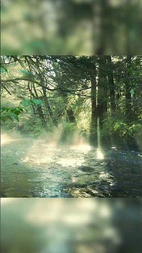 Green Rainforest Lofi 🌿🌧️ Calm Nature Beats for Focus & Peace #lofi #beatstostudy #cozynights