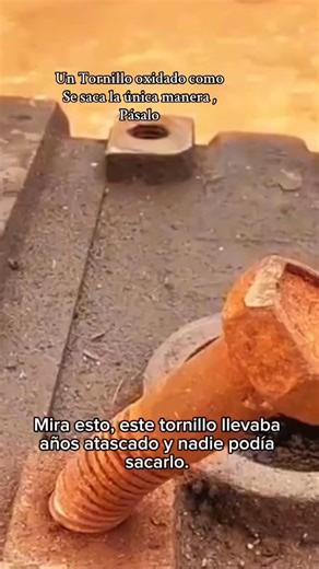 Bluepartnerlife on Reels