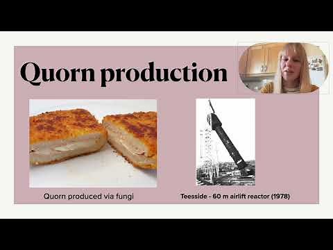 The bioreactor technology behind Quorn production